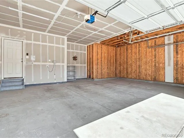 904 Charlton Drive Windsor, CO 80550