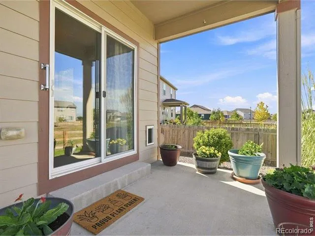 904 Charlton Drive Windsor, CO 80550