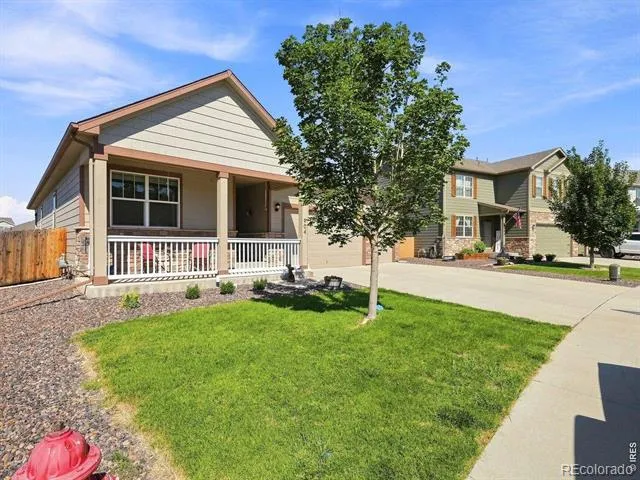 904 Charlton Drive Windsor, CO 80550