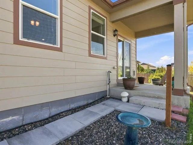 904 Charlton Drive Windsor, CO 80550