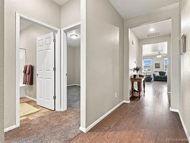 904 Charlton Drive Windsor, CO 80550