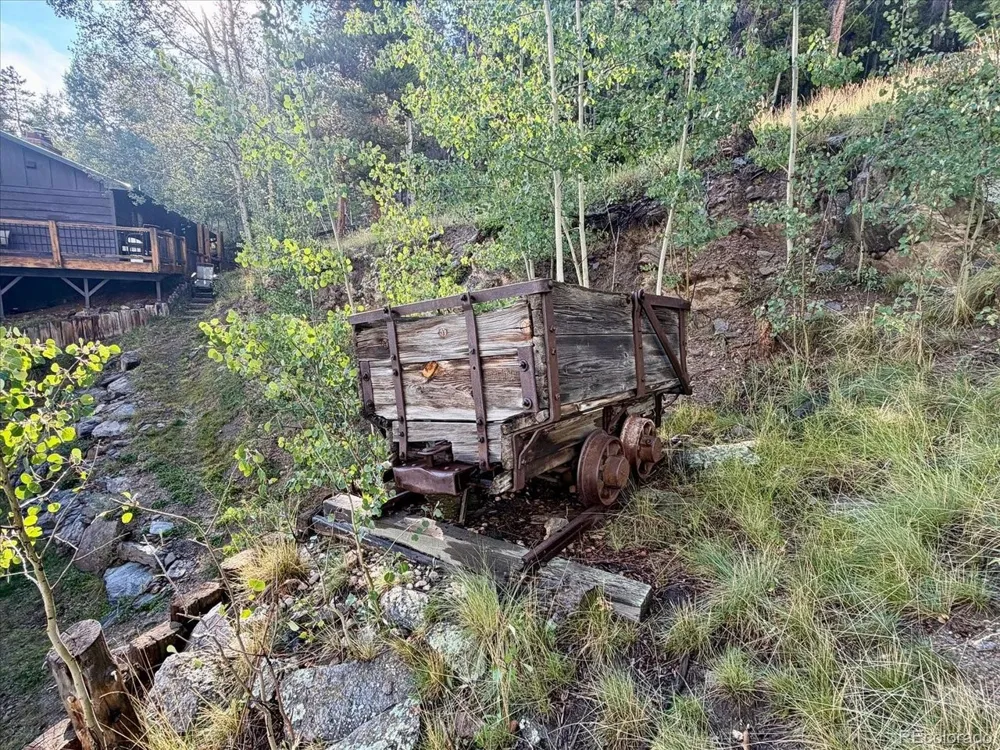 66 Lodgepole Circle Evergreen, CO 80439