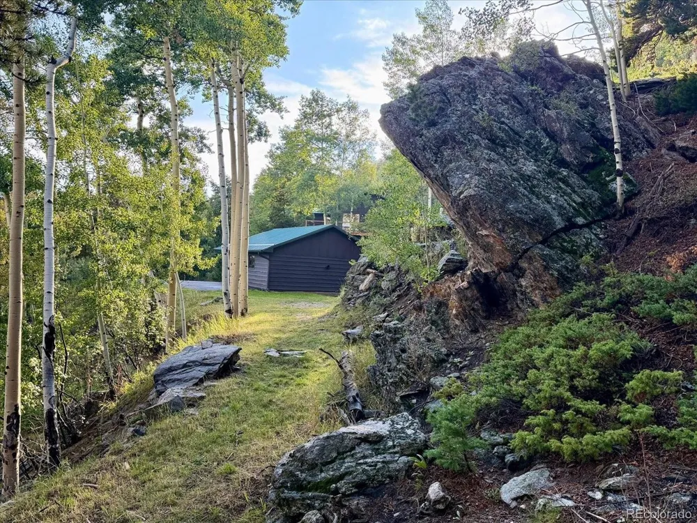 66 Lodgepole Circle Evergreen, CO 80439