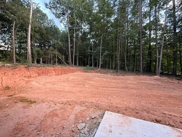 167 Iron Bound Dallas, GA 30132