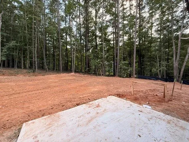 167 Iron Bound Dallas, GA 30132