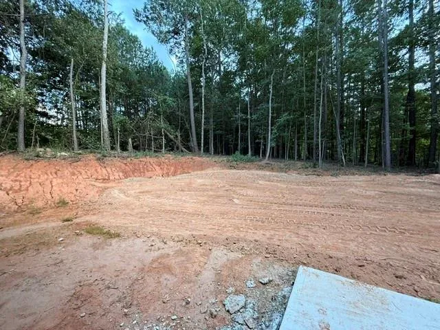 167 Iron Bound Dallas, GA 30132