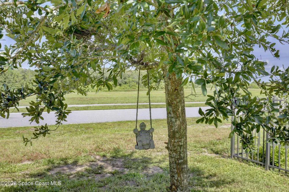 3020 Burrowing Owl Drive Mims, FL 32754