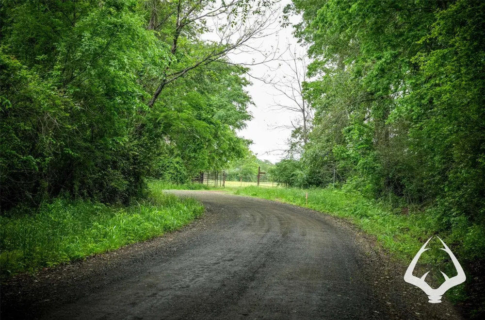 Dorsey Road Hemphill, TX 75948