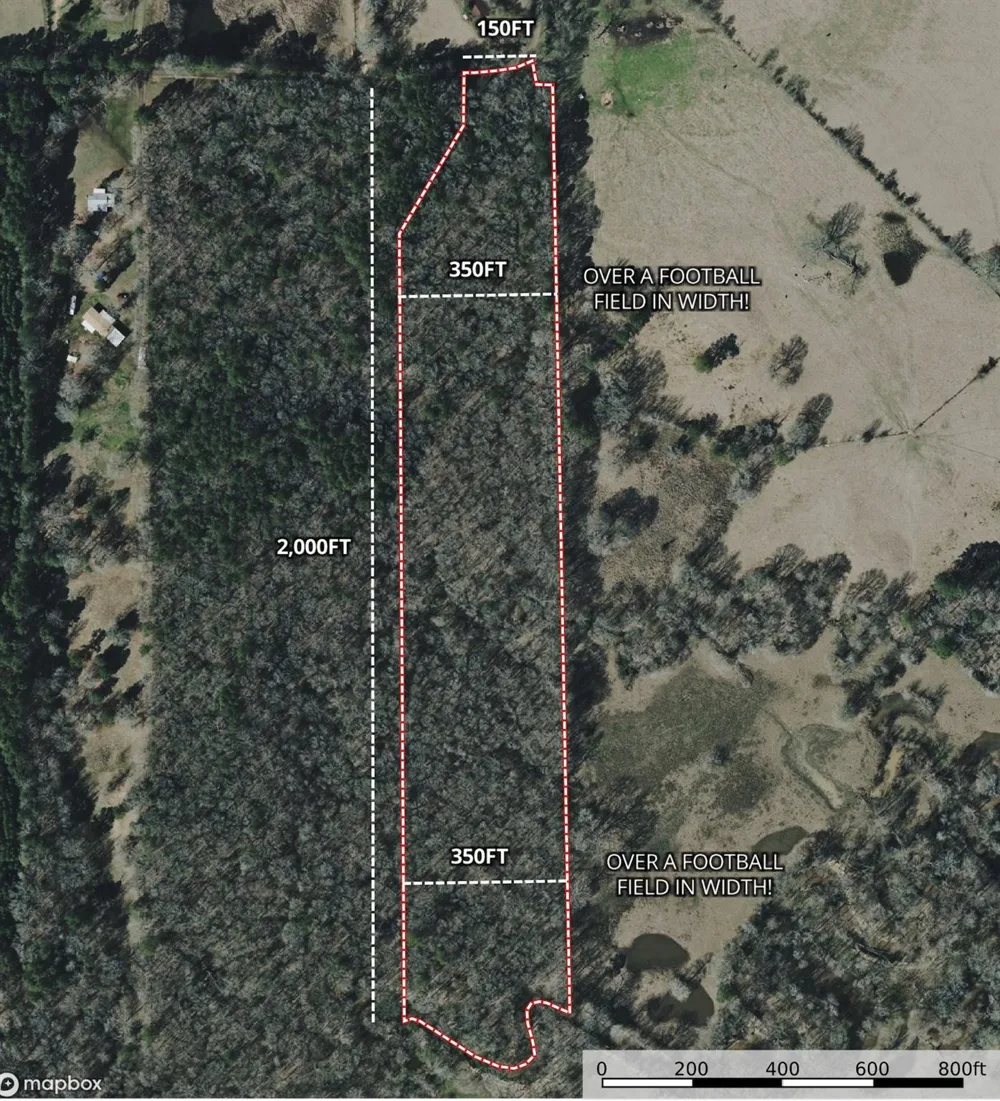 Dorsey Road Hemphill, TX 75948
