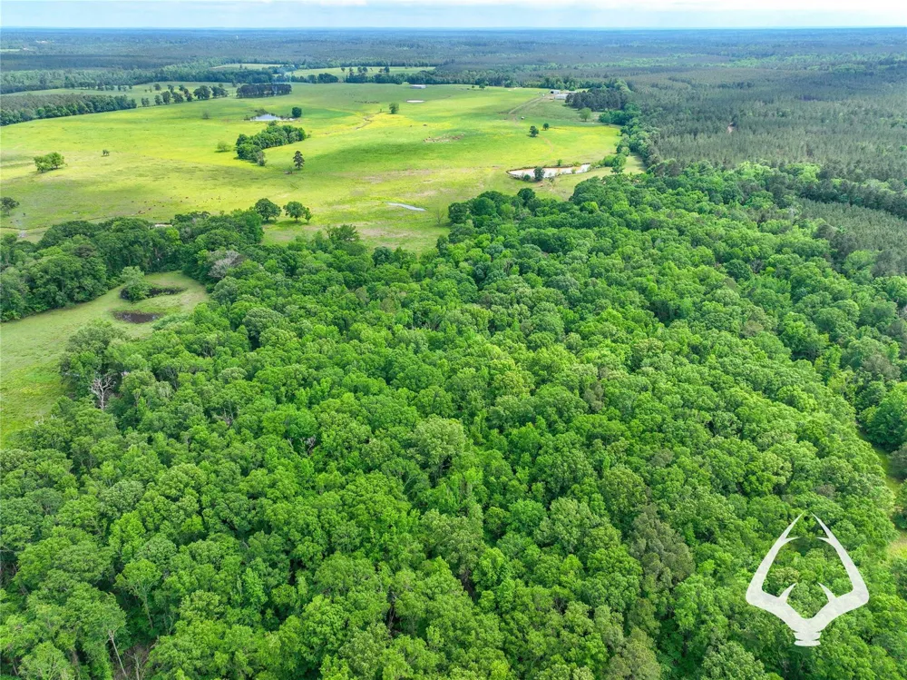 Dorsey Road Hemphill, TX 75948