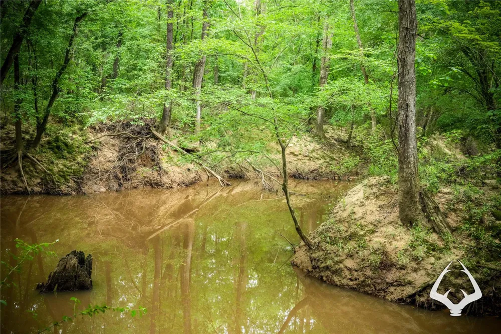 Dorsey Road Hemphill, TX 75948