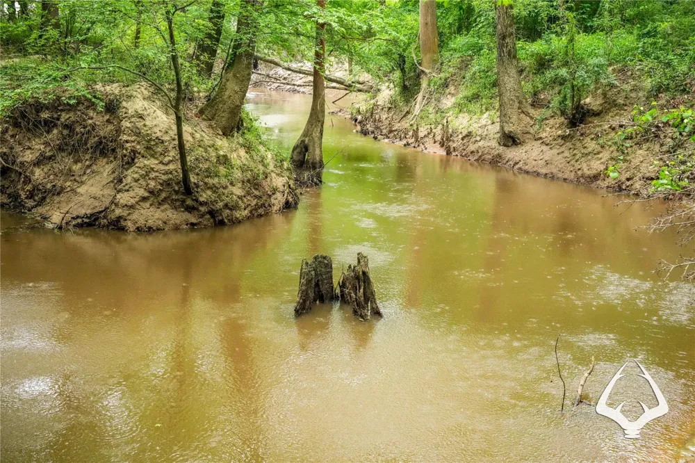 Dorsey Road Hemphill, TX 75948