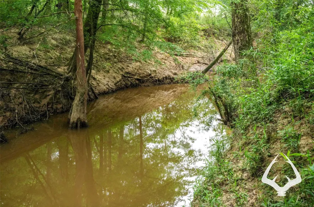 Dorsey Road Hemphill, TX 75948