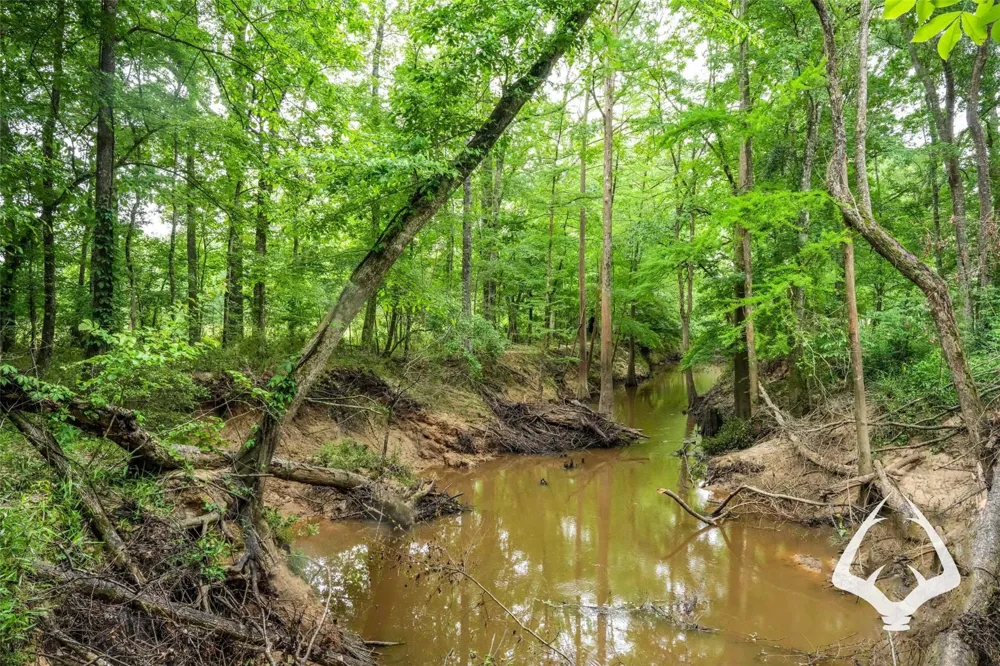 Dorsey Road Hemphill, TX 75948