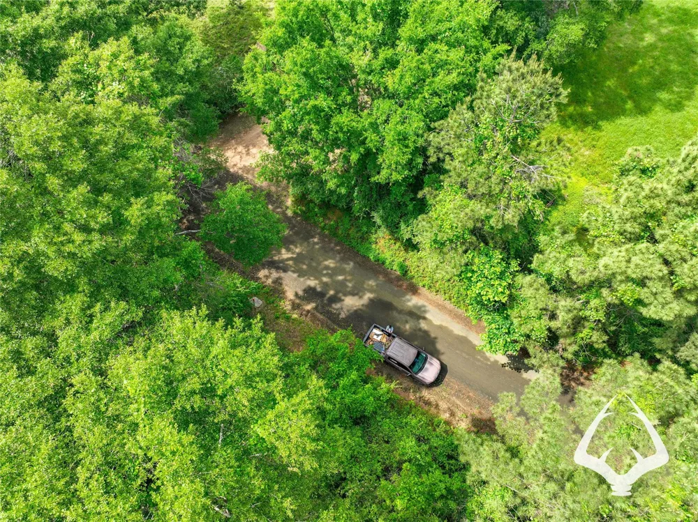 Dorsey Road Hemphill, TX 75948