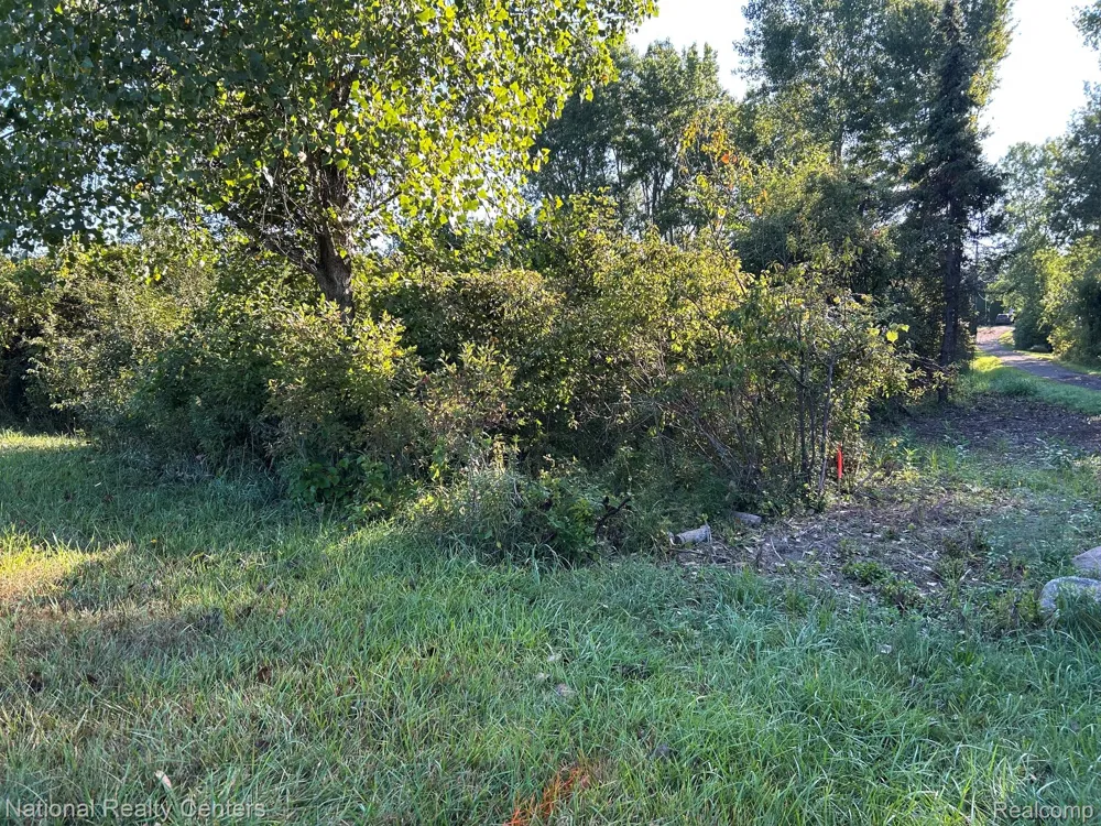 Austin Farms Parcel C Groveland Township, MI 48462