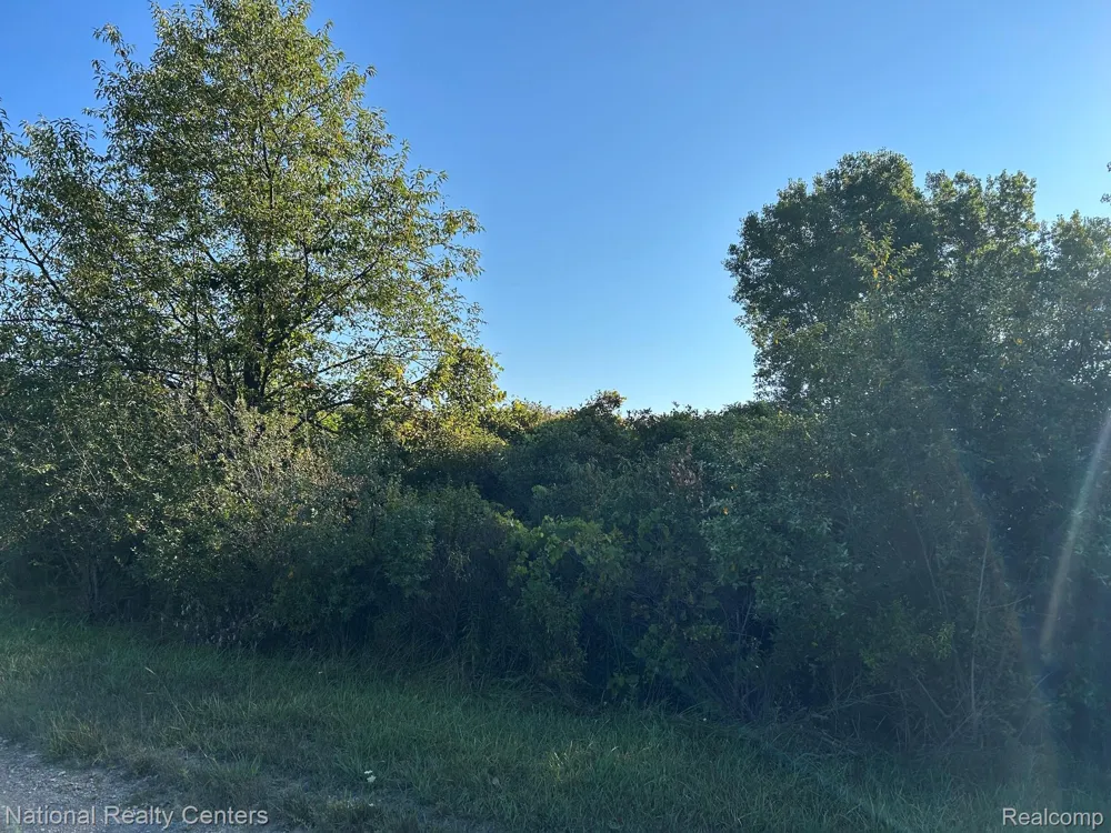 Austin Farms Parcel C Groveland Township, MI 48462