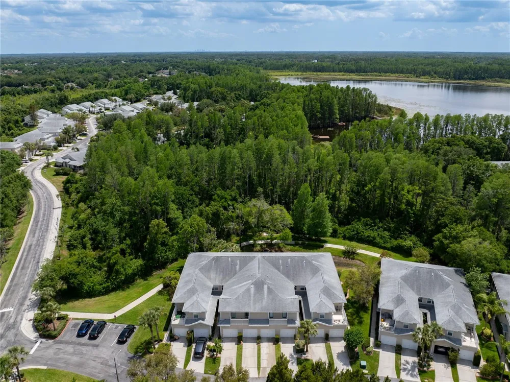 22128 LITTLE LAGOON COURT Lutz, FL 33549
