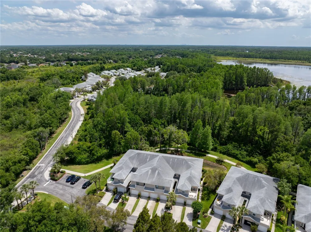 22128 LITTLE LAGOON COURT Lutz, FL 33549