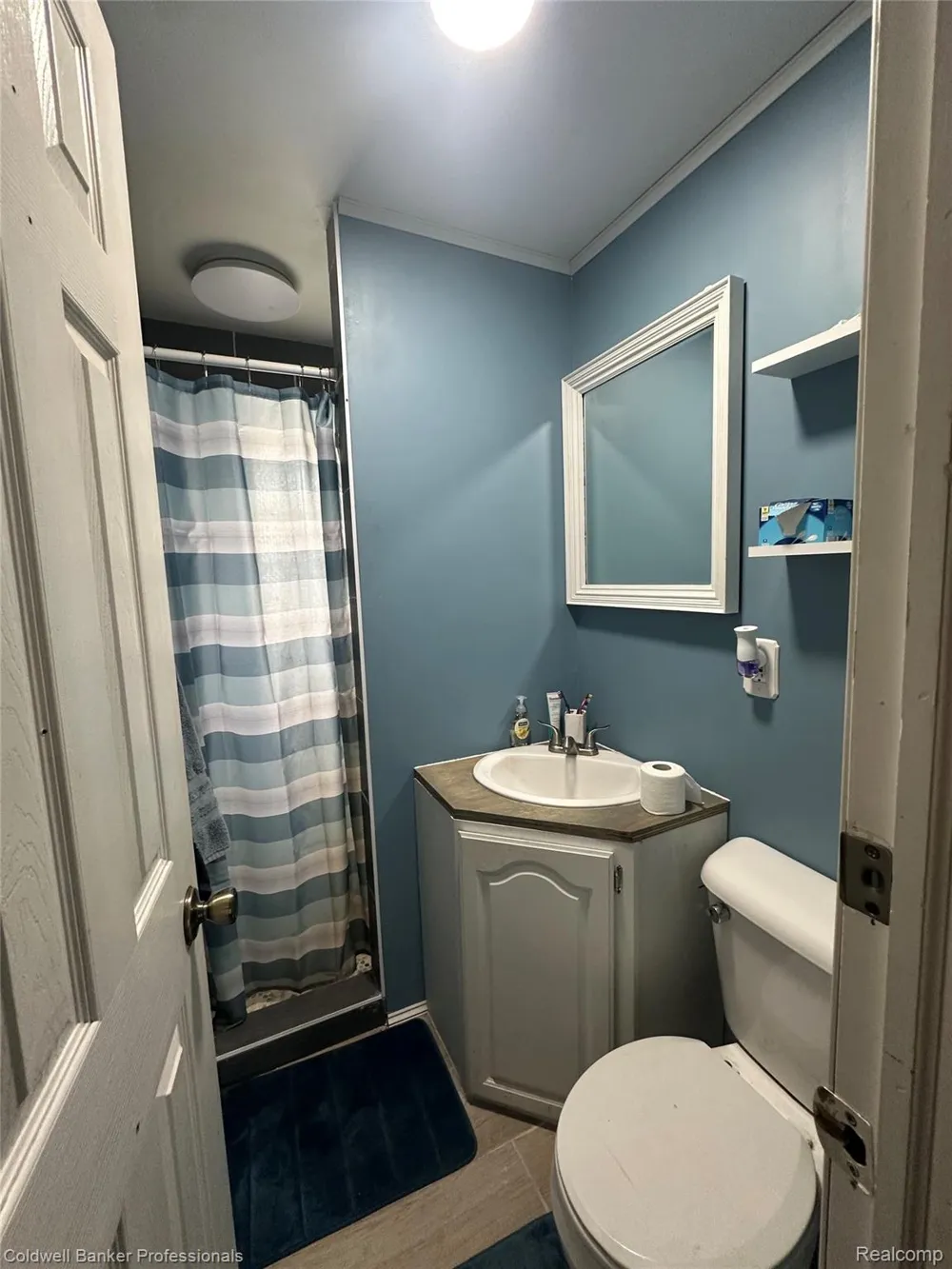 147 Myron Street Ortonville Village, MI 48462