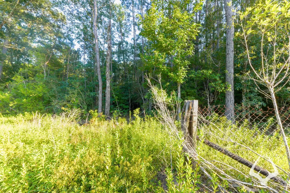 Fm 363 Newton, TX 75966