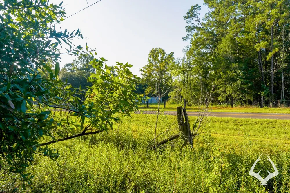 Fm 363 Newton, TX 75966