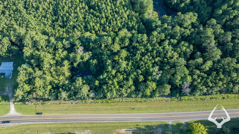 Fm 363 Newton, TX 75966