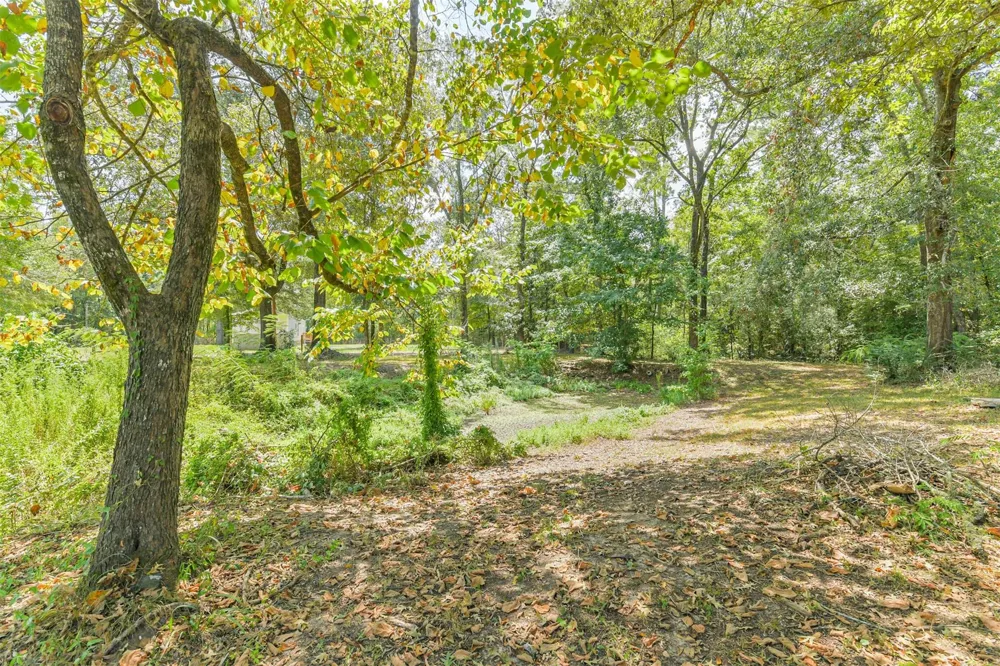200 Chris Lane Shepherd, TX 77371