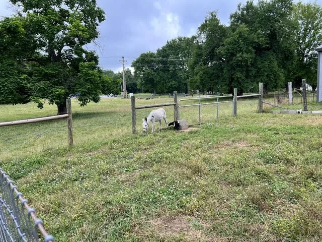 3087 Valley Creek Rd Culleoka, TN 38451