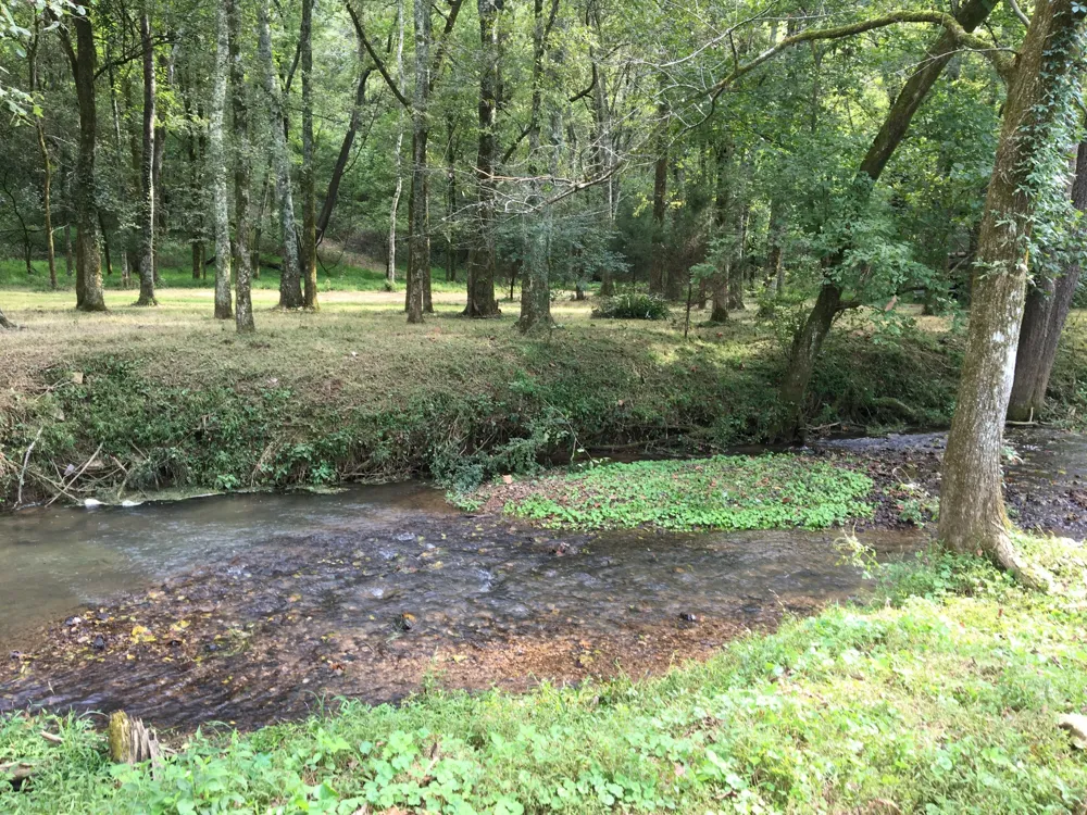 3087 Valley Creek Rd Culleoka, TN 38451