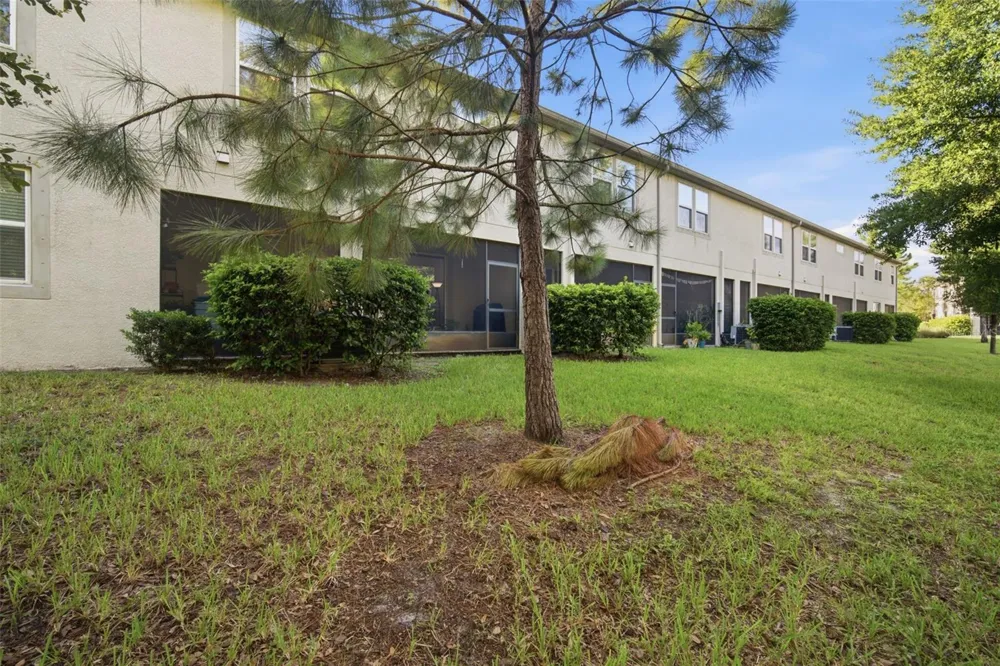 14215 PONDHAWK LANE Tampa, FL 33625