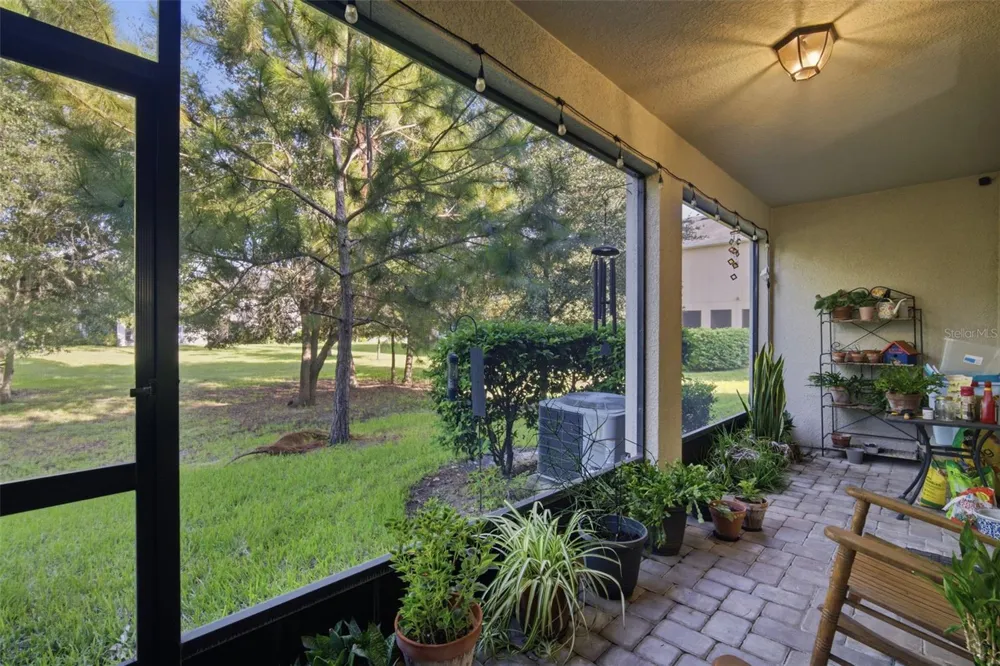 14215 PONDHAWK LANE Tampa, FL 33625