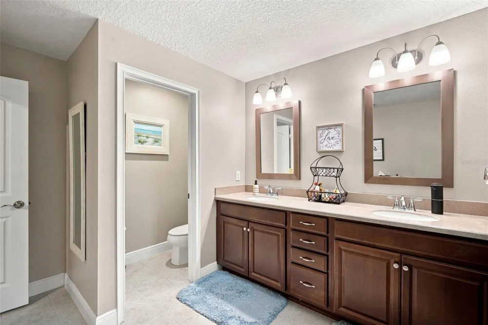14215 PONDHAWK LANE Tampa, FL 33625