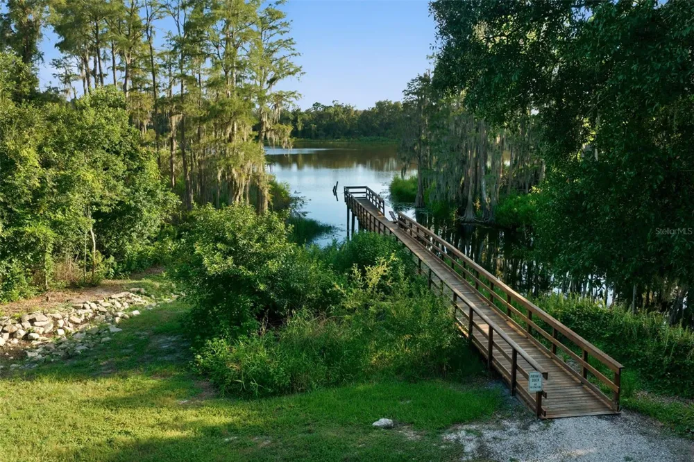 14215 PONDHAWK LANE Tampa, FL 33625