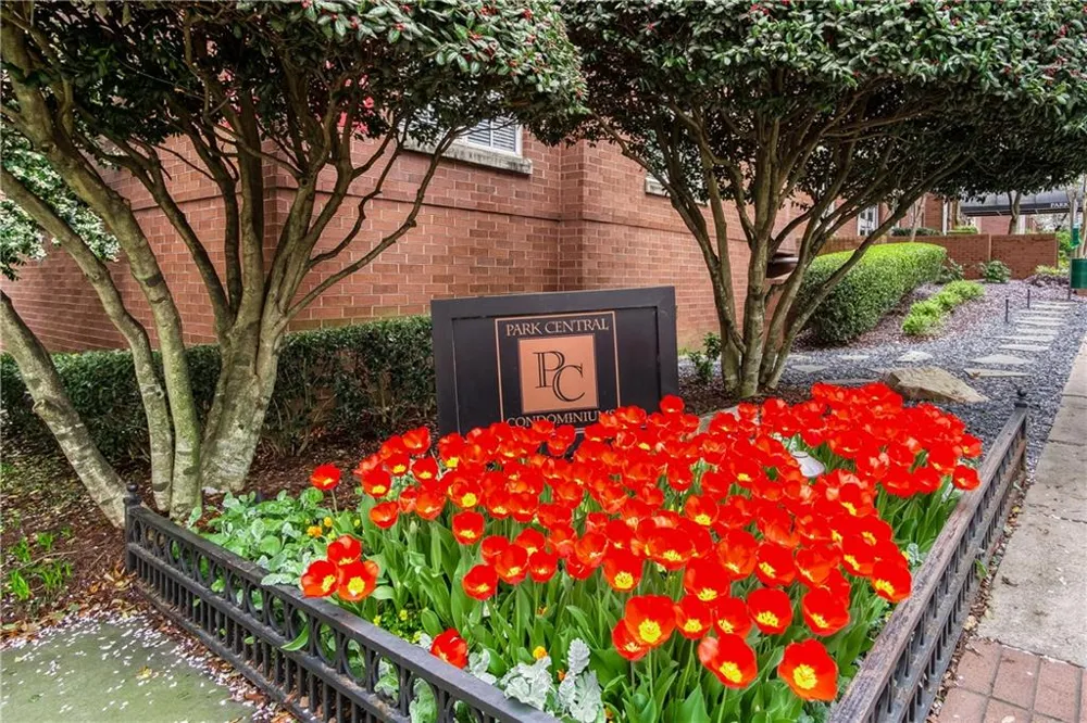 1101 Juniper Street NE #413 Atlanta, GA 30309