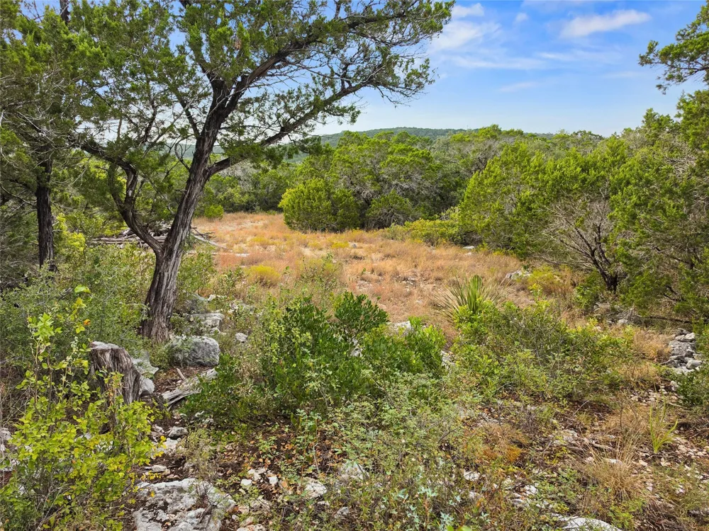240 County Road 2704 Mico, TX 78056