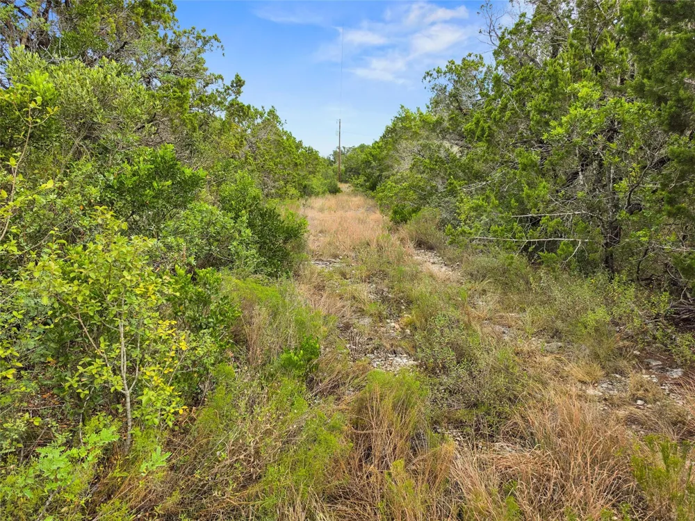 240 County Road 2704 Mico, TX 78056