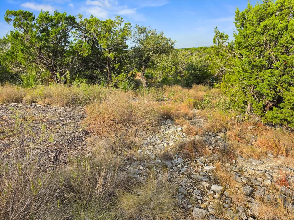 240 County Road 2704 Mico, TX 78056