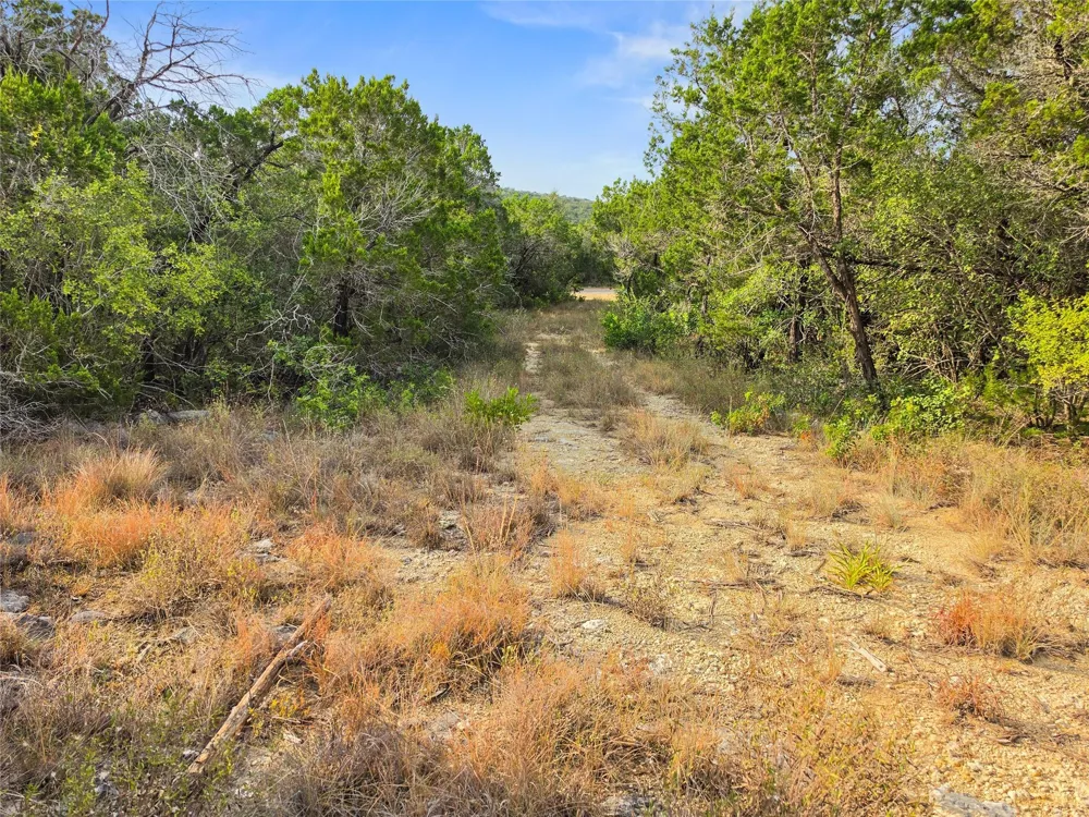 240 County Road 2704 Mico, TX 78056