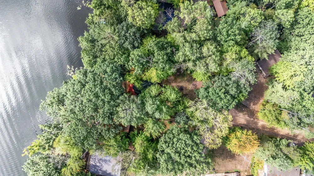524 McLachlan Point Road Evart, MI 49631