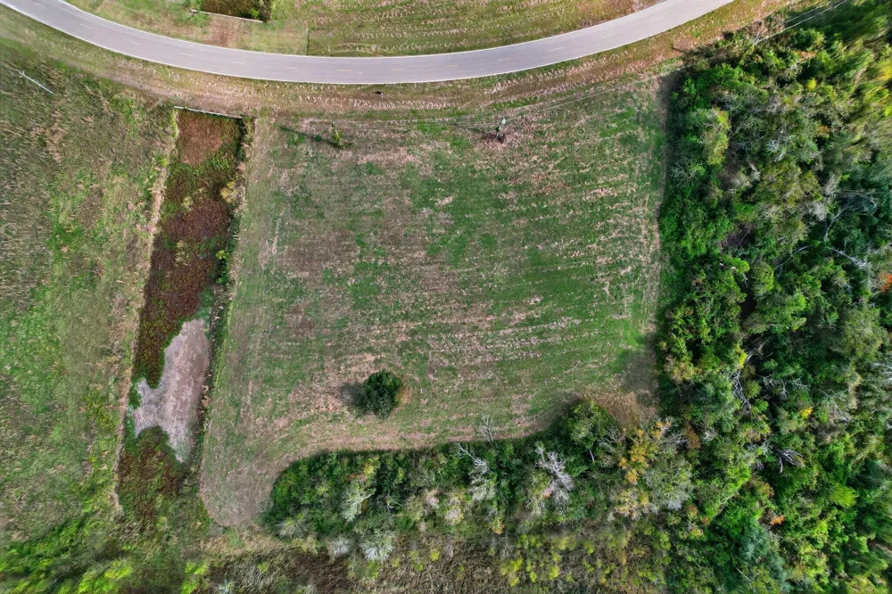 22818 Pittman Drive Angleton, TX 77515