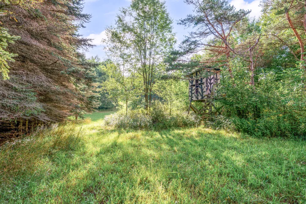 9957 150th Avenue Reed City, MI 49677