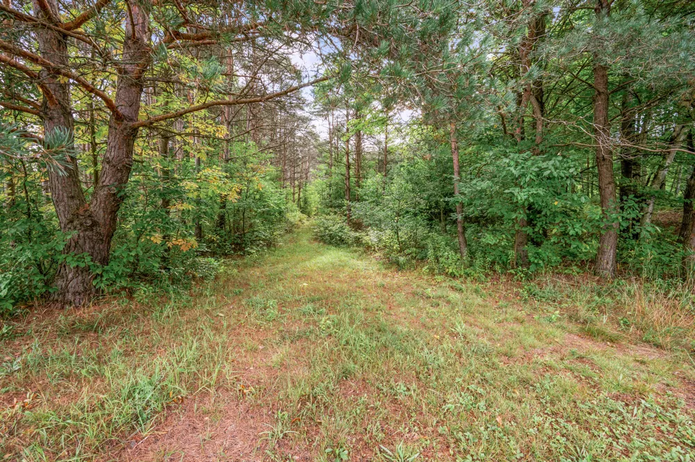 9957 150th Avenue Reed City, MI 49677