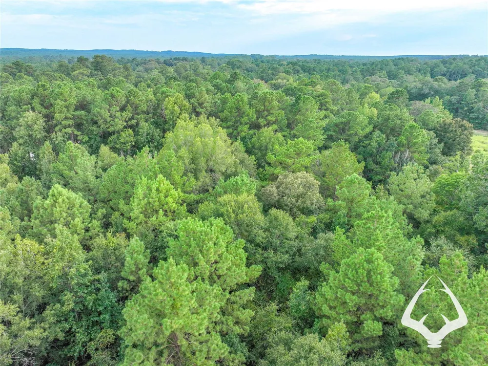 Hwy 69 Colmesneil, TX 75938