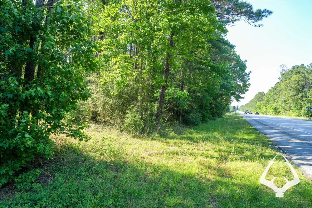 Hwy 69 Colmesneil, TX 75938