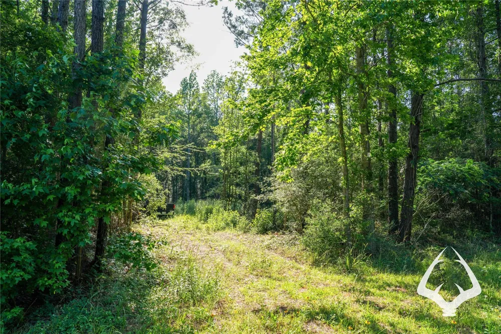 Hwy 69 Colmesneil, TX 75938