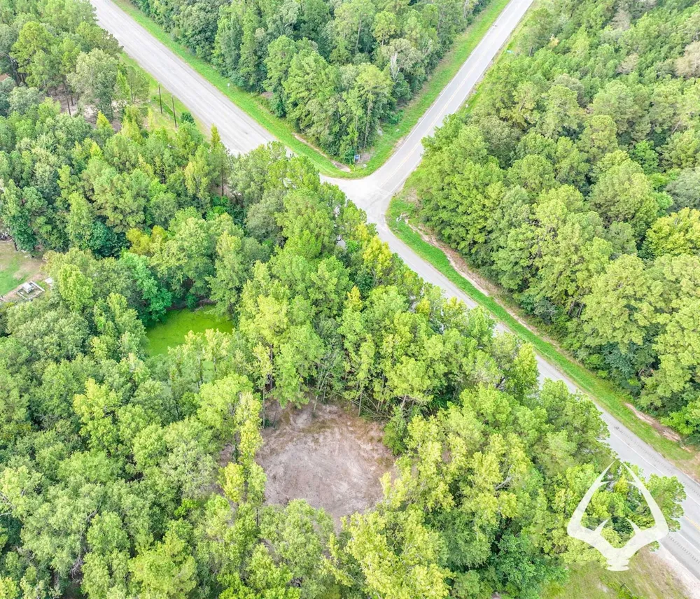 Hwy 69 Colmesneil, TX 75938
