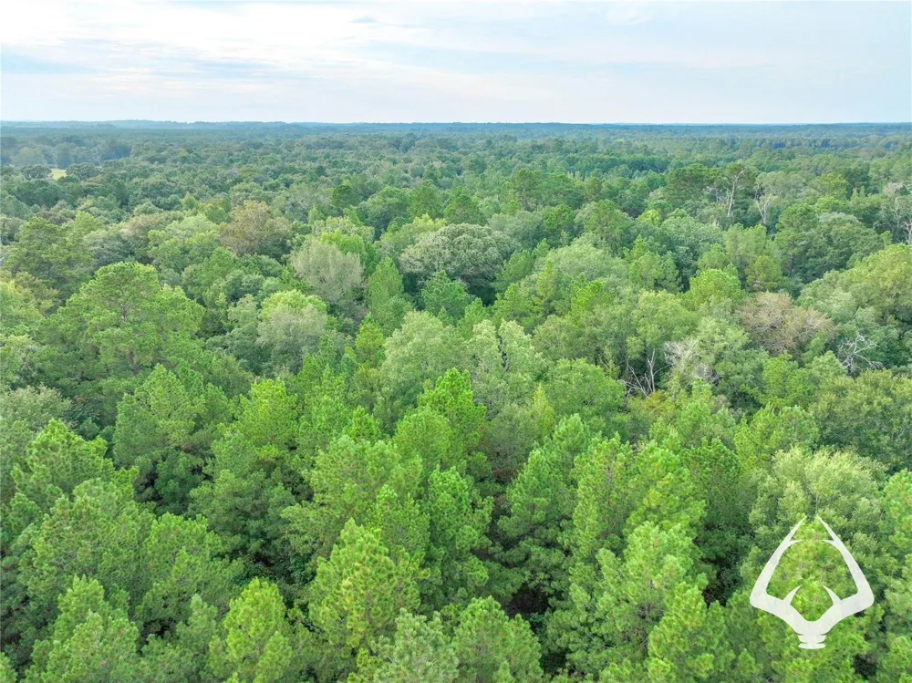 Hwy 69 Colmesneil, TX 75938