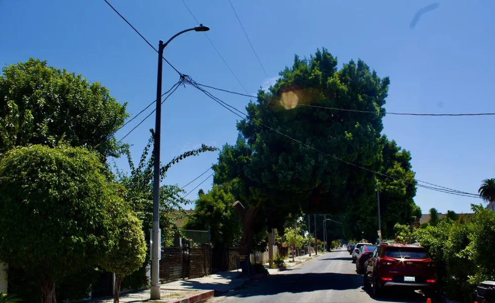 10328 Hickory Street Los Angeles, CA 90002