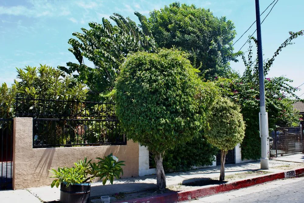 10328 Hickory Street Los Angeles, CA 90002
